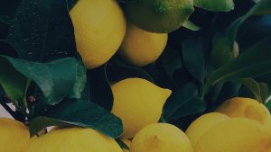 aa